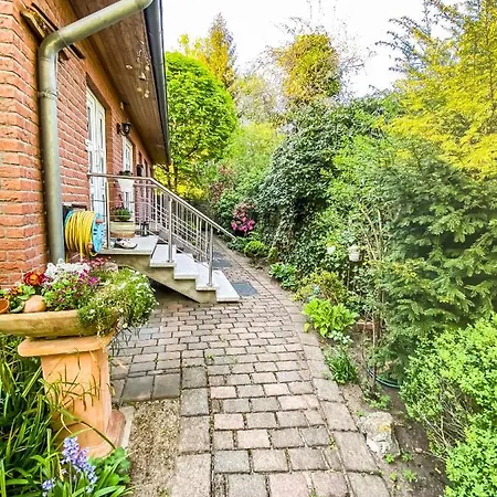 Im Sachsenwald Dassendorf