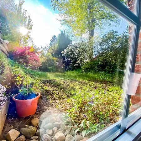 Im Sachsenwald * Dassendorf