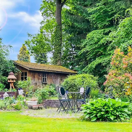 Im Sachsenwald Dassendorf